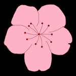 WWW,989se·COM网站APP